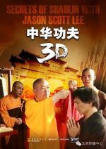Watch Secrets of Shaolin with Jason Scott Lee Letmewatchthis