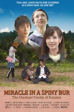 Watch Miracle in Kasama Letmewatchthis
