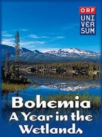 Watch Bohemia: A Year in the Wetlands Letmewatchthis