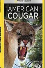 Watch National Geographic - American Cougar Letmewatchthis