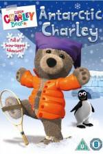 Watch Little Charley Bear - Antarctic Charley Letmewatchthis