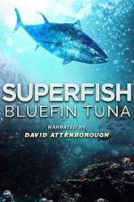 Watch Superfish Bluefin Tuna Letmewatchthis