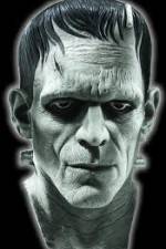Watch Frankenstein Birth of a Monster Letmewatchthis