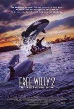 Watch Free Willy 2: The Adventure Home Letmewatchthis
