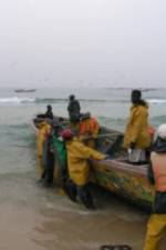 Watch Senegal: Cry Sea Letmewatchthis
