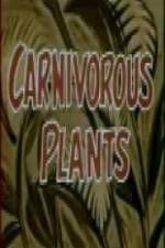 Watch Carnivorous Plants Letmewatchthis