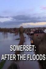 Watch Somerset: After the Floods Letmewatchthis