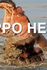 Watch Hippo Hell Letmewatchthis