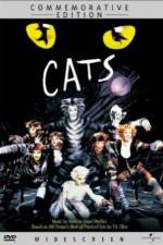 Watch Great Performances Cats Letmewatchthis