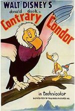 Watch Contrary Condor Letmewatchthis