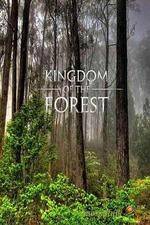 Watch National Geographic Kingdom of the Forest Letmewatchthis
