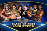 Watch WWE Hall of Fame Letmewatchthis