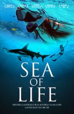 Watch Sea of Life Letmewatchthis