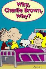 Watch Why Charlie Brown Why Letmewatchthis