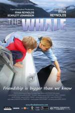 Watch The Whale Letmewatchthis