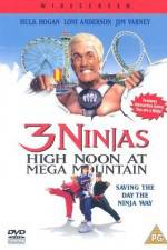 Watch 3 Ninjas High Noon at Mega Mountain Letmewatchthis