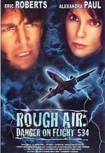 Watch Rough Air: Danger on Flight 534 Letmewatchthis