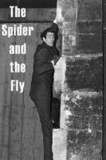 Watch The Spider and the Fly Letmewatchthis