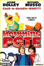 Watch Hatching Pete Letmewatchthis