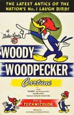 Watch The Woody Woodpecker Polka Letmewatchthis