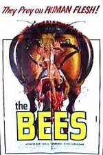 Watch The Bees Letmewatchthis