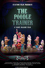 Watch The Poodle Trainer Letmewatchthis