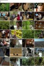 Watch National Geographic: Super weed Letmewatchthis