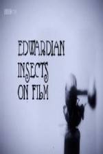 Watch Edwardian Insects on Film Letmewatchthis