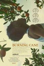 Watch Burning Cane Letmewatchthis