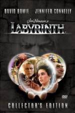 Watch Labyrinth Letmewatchthis