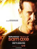 Watch Burn Notice: The Fall of Sam Axe Letmewatchthis