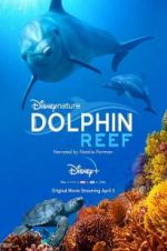 Watch Dolphin Reef Letmewatchthis