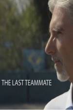 Watch Senna The Last Teammate Letmewatchthis