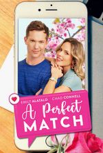 Watch A Perfect Match Letmewatchthis