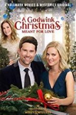Watch A Godwink Christmas: Meant for Love Letmewatchthis