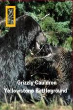 Watch National Geographic Grizzly Cauldron Letmewatchthis