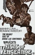 Watch Bruce\'s Fists of Vengeance Letmewatchthis