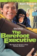 Watch The Barefoot Executive Letmewatchthis
