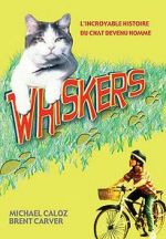 Watch Whiskers Letmewatchthis