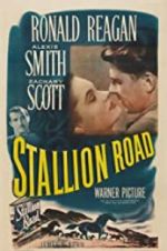 Watch Stallion Road Letmewatchthis