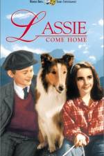 Watch Lassie Come Home Letmewatchthis