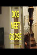 Watch Dog Meet Goose Letmewatchthis