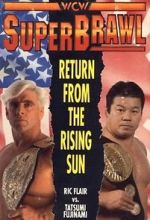 Watch WCW SuperBrawl I Letmewatchthis
