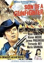 Watch Son of a Gunfighter Letmewatchthis