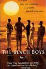 Watch The Beach Boys An American Family Letmewatchthis