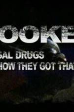 Watch Hooked: Illegal Drugs and How They Got That Way - Cocaine Letmewatchthis