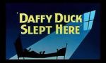 Watch Daffy Duck Slept Here (Short 1948) Letmewatchthis