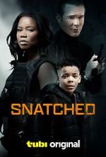 Watch Snatched Online Letmewatchthis