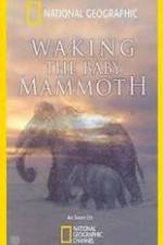 Watch Waking the Baby Mammoth Letmewatchthis