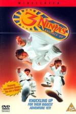 Watch 3 Ninjas Knuckle Up Letmewatchthis